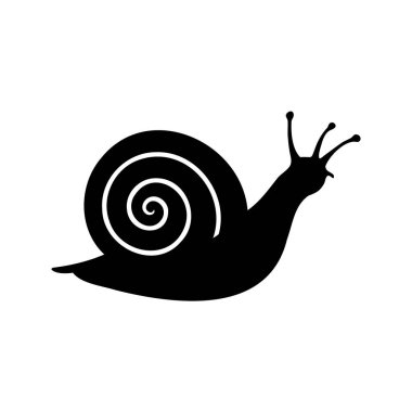 Beyaz arkaplana sarmal kabuklu bir salyangozun tek renkli çizimi