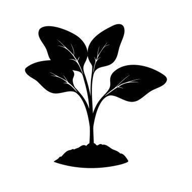 Yerden Yapraklarla Büyüyen Küçük Bitkinin Silueti