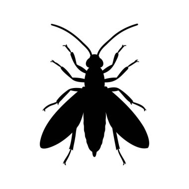 Uçan bir böceğin silueti, muhtemelen bir eşek arısı ya da arı, siyahlar içinde.