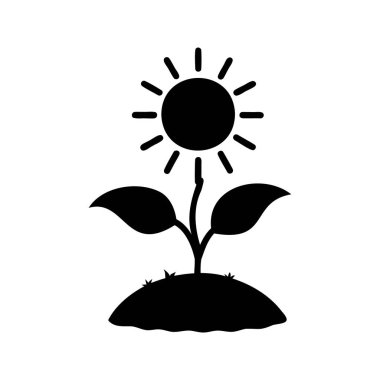 Güneşin Altında Büyüyen Bitkinin Siyah ve Beyaz ResmiComment