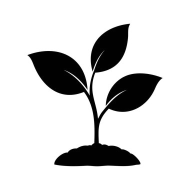 Toprakta Büyüyen Tek Bitki Yeni Yaşamı ve Başlangıcı Sembolize eder