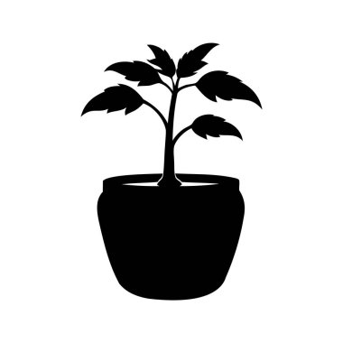 Bir saksıdaki siyah bir bitkinin silüeti, beyaz bir arka planda.