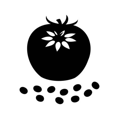 Beyaz arkaplanda meyve ve tohumları gösteren tek renkli domates çizimi