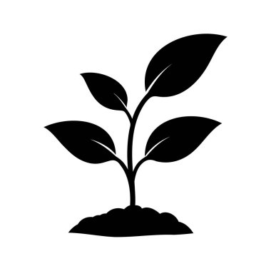 Toprakta büyüyen bir bitkinin siyah silueti, beyaz üzerine izole edilmiş.