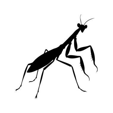 Beyaz arka planda dua eden peygamberdevesinin siyah silueti ayrıntıları gösteriyor