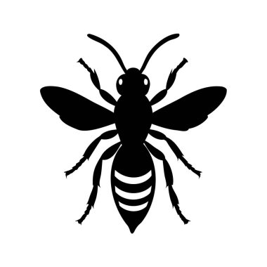 Detaylı kanatları ve bacakları olan yüksek kontrastlı bir eşekarısı silueti