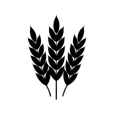 Siyah ve beyaz vektör sanatında üç buğday sapının stilize çizimi