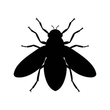 Bir sineğin basit siyah silueti, beyaz bir arka planda izole edilmiş.