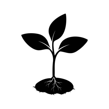 Kökleri, sapı ve üç yaprağı olan siyah ve beyaz bitkiler.