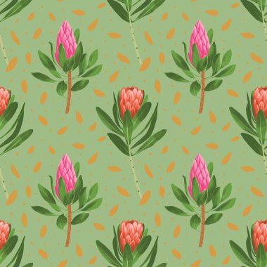 Protea Çiçekleri. İzler, kumaş, davetiye kartları, düğün dekorasyonu, duvar kağıtları, duvar resimleri için modaya uygun desenler.