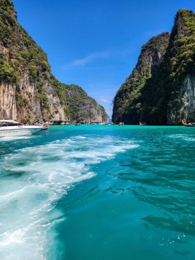 Berrak suları ve Tayland 'da bir paradisial plajdaki yerel bitki örtüsüyle bereketli bir manzara.
