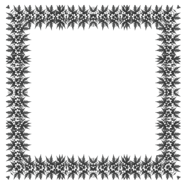 Çiçek dekolteli siyah beyaz çerçeve