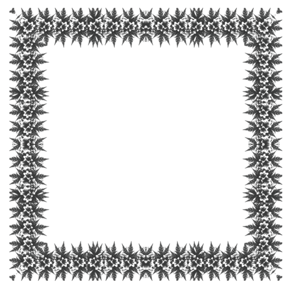 Çiçek dekolteli siyah beyaz çerçeve