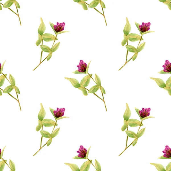 Нежный Цветочный Узор Клевера Акварель Фон Розовыми Полевыми Цветами Ткани — стоковое фото