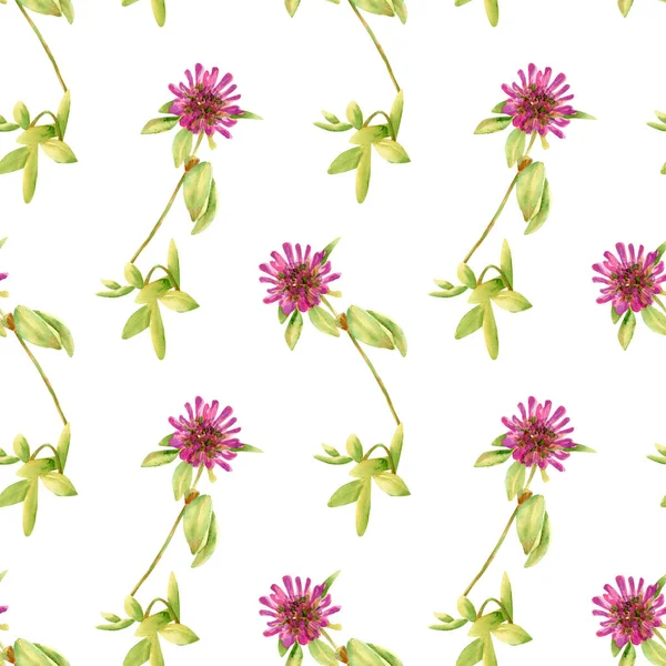 Seamless Clover Flower Pattern Watercolor Floral Background Pink Wildflowers Green — Stock Photo, Image