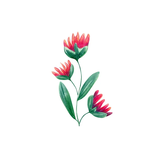 Rote Und Rosa Blumen Komposition Illustration Abstraktes Blumengesteck Helle Blume — Stockfoto
