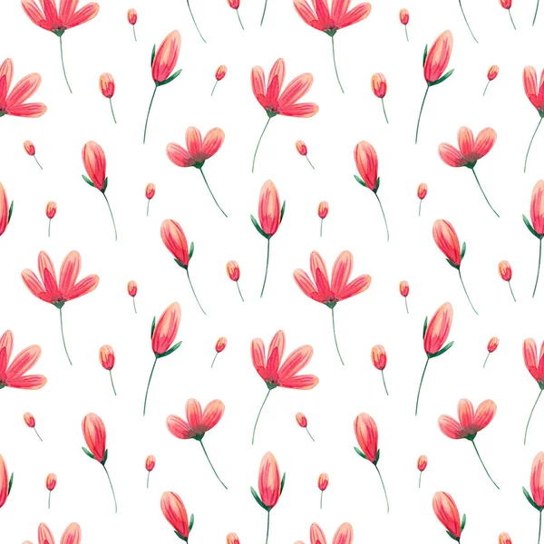 Nahtloses Gänseblümchenmuster Aquarell Floralen Hintergrund Mit Abstrakten Roten Und Rosa — Stockfoto