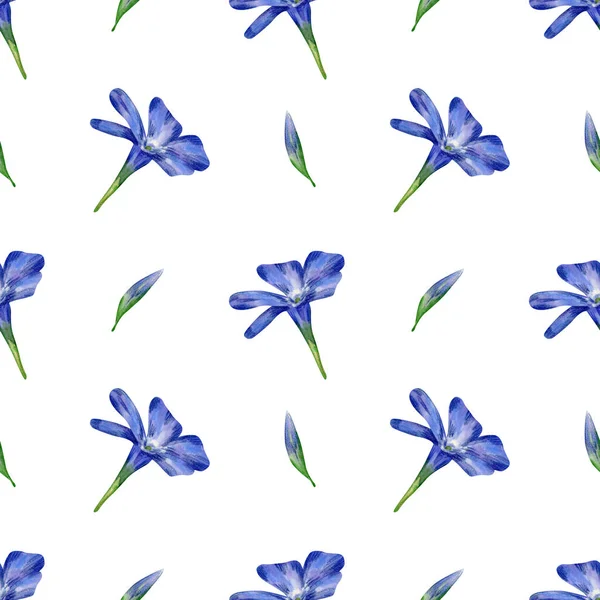 Sömlös Periwinkle Blommor Mönster Akvarell Blommig Bakgrund Med Blå Och — Stockfoto