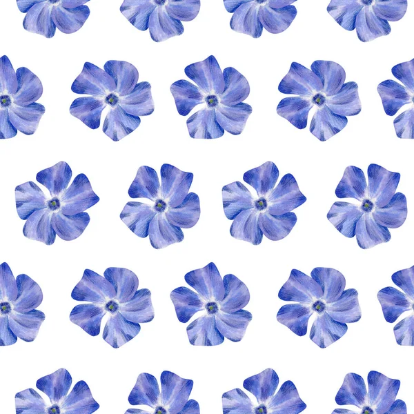 Naadloos Periwinkle Patroon Aquarel Bloemenachtergrond Met Blauwe Violette Bloem Bloemblaadjes — Stockfoto