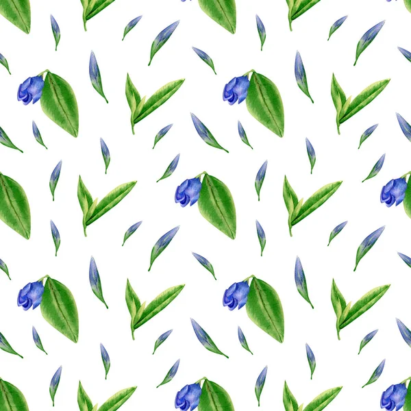 Безшовний Квітковий Візерунок Акварельний Фон Синьо Фіолетовою Квіткою Бутоном Зеленим — стокове фото