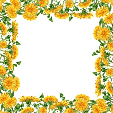 Kare suluboya çerçeve ve kır çiçekleri. Çiçekli sarı çiçekler ve yeşil yapraklı düğün davetiyeleri, afişler