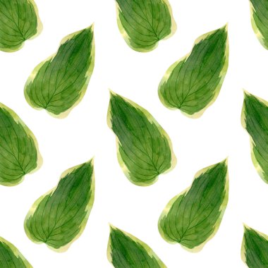 Kusursuz ev sahibi vaşak iz bırakır. Duvar kağıtları, tekstil, dekor tasarımı için yeşil yaprak illüstrasyonlu suluboya arkaplan