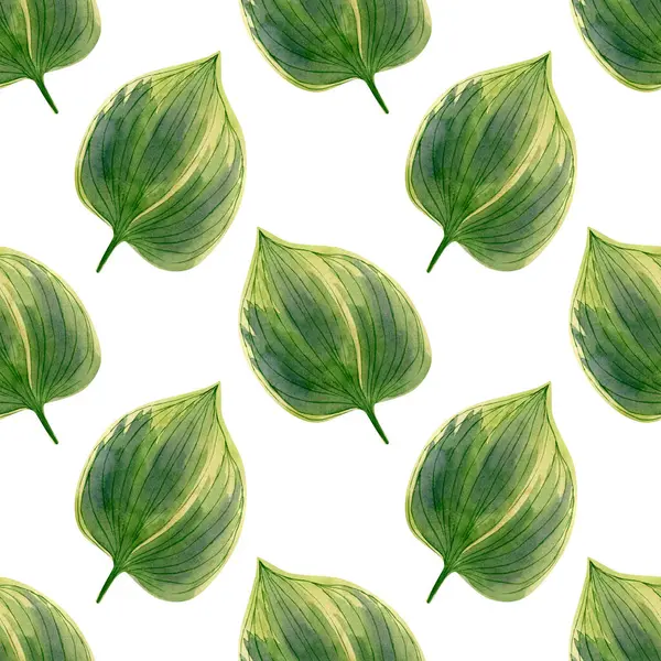 Απρόσκοπτα Φύλλα Του Βάλτου Υδατογραφία Φόντο Βοτανική Απεικόνιση Του Πράσινου — Φωτογραφία Αρχείου