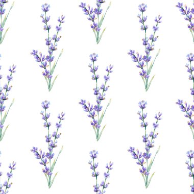 Kusursuz lavanta çiçeği deseni. Mavi ve mor lavanta dallı suluboya arkaplan ve ambalaj kağıdı, duvar kağıdı, tekstil için yapraklar