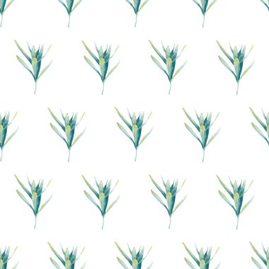 Kusursuz lavanta yaprağı deseni. Yeşil lavanta dallı suluboya arkaplan ve ambalaj kağıdı, duvar kağıdı, tekstil için yapraklar