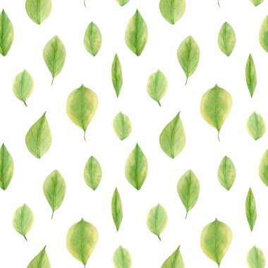 Suluboya limon yaprağı deseni. Kumaş, duvar kağıtları ve ambalaj kağıtları için yeşil yaprakların botanik çizimleriyle kusursuz çiçek deseni. 