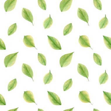 Suluboya yaprak deseni. Kumaş, duvar kağıtları ve ambalaj kağıtları için yeşil limon yapraklarının botanik çizimleriyle kusursuz çiçek deseni. 