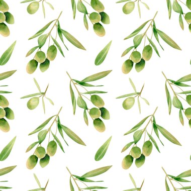 Kusursuz zeytin arka planı. Elle çizilmiş yeşil zeytin meyvelerinin suluboya desenleri, tekstil baskıları için yapraklı dallar, duvar kağıtları.
