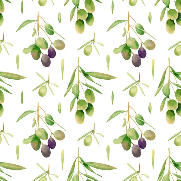 Kusursuz zeytin arka planı. Elle çizilmiş yeşil ve menekşe zeytin meyvesi suluboya deseni ve kumaş, duvar kağıtları, ev tekstili dalları için yapraklar