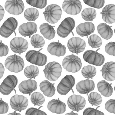 Balkabağı suluboya arka plan. Cadılar bayramı ve sonbahar dekorasyonu için siyah ve beyaz balkabağı resimli kusursuz el çizimi deseni