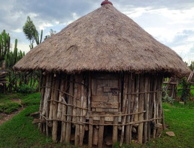 Kenya kırsalında çim çatılı odunlardan ve küçük ahşap kapılardan yapılmış çiftlik kulübesi..