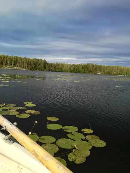 Sabah göl manzarası çok güzel.