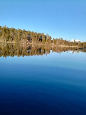 Ormanın ortasında bir göl