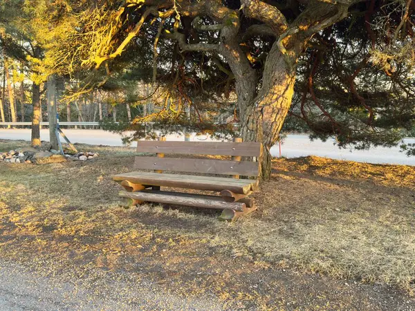 Bir bankı ve ağacı olan güzel bir manzara.