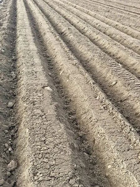 tarım alanı, tarım kavramı, tarım ve tarım