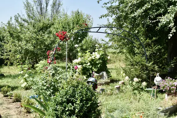 Bahçedeki güzel manzara