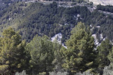 Fotoğraf, parçalı bulutlu bir gökyüzünün altında engebeli, kayalık tepeleri olan dağlık bir manzarayı gösteriyor. Dağlar ise dipdiri bir bitki (ler) ve hoş kokulu ağaçlarla kaplıdır. Ön planda..