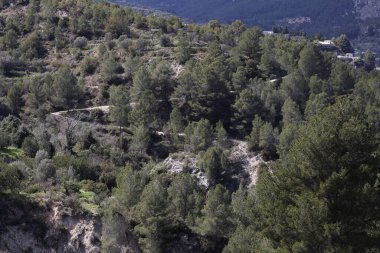 Fotoğraf, parçalı bulutlu bir gökyüzünün altında engebeli, kayalık tepeleri olan dağlık bir manzarayı gösteriyor. Dağlar ise dipdiri bir bitki (ler) ve hoş kokulu ağaçlarla kaplıdır. Ön planda..