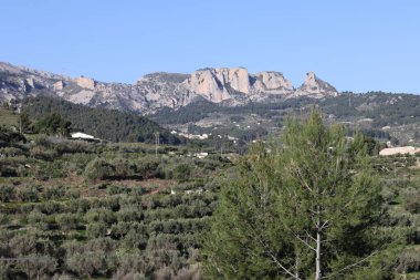 Fotoğraf, parçalı bulutlu bir gökyüzünün altında engebeli, kayalık tepeleri olan dağlık bir manzarayı gösteriyor. Dağlar ise dipdiri bir bitki (ler) ve hoş kokulu ağaçlarla kaplıdır. Ön planda..