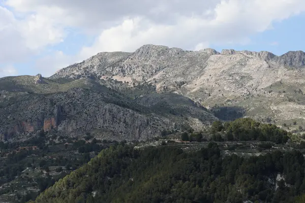 Fotoğraf, parçalı bulutlu bir gökyüzünün altında engebeli, kayalık tepeleri olan dağlık bir manzarayı gösteriyor. Dağlar ise dipdiri bir bitki (ler) ve hoş kokulu ağaçlarla kaplıdır. Ön planda..