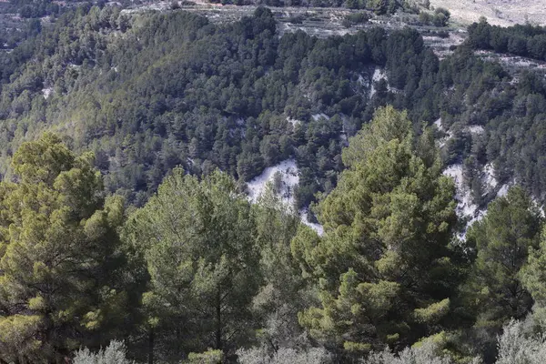 Fotoğraf, parçalı bulutlu bir gökyüzünün altında engebeli, kayalık tepeleri olan dağlık bir manzarayı gösteriyor. Dağlar ise dipdiri bir bitki (ler) ve hoş kokulu ağaçlarla kaplıdır. Ön planda..