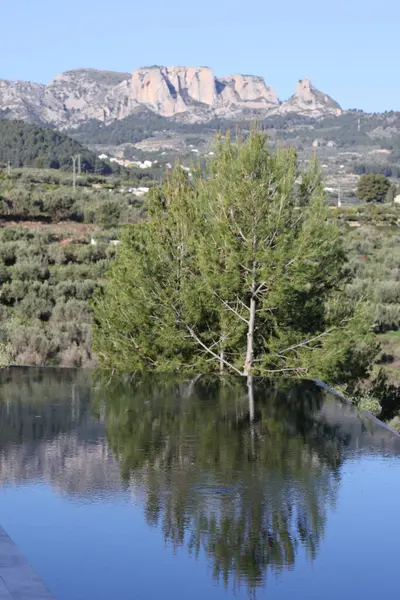 Fotoğraf, parçalı bulutlu bir gökyüzünün altında engebeli, kayalık tepeleri olan dağlık bir manzarayı gösteriyor. Dağlar ise dipdiri bir bitki (ler) ve hoş kokulu ağaçlarla kaplıdır. Ön planda..