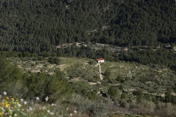 Görüntü dağlık ya da tepelik bir kırsal alanda kırmızı çatılı küçük izole bir evi gösteriyor. Ev, doğal bitki örtüsü ve arazi ile çevrili temiz bir arazide bulunuyor.. 