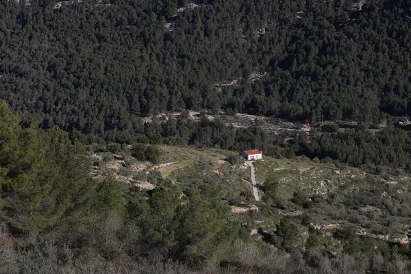 Görüntü dağlık ya da tepelik bir kırsal alanda kırmızı çatılı küçük izole bir evi gösteriyor. Ev, doğal bitki örtüsü ve arazi ile çevrili temiz bir arazide bulunuyor.. 