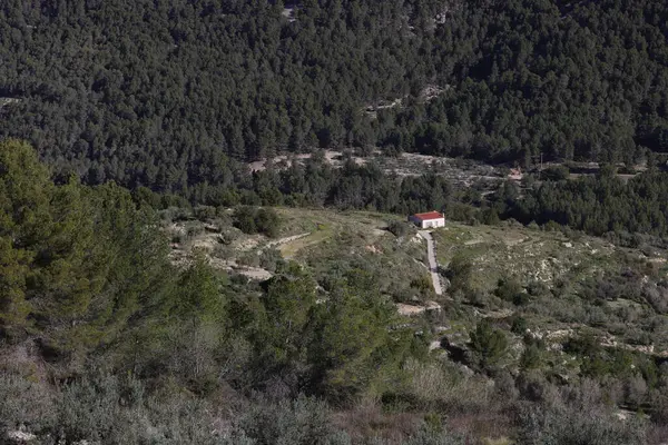 Görüntü dağlık ya da tepelik bir kırsal alanda kırmızı çatılı küçük izole bir evi gösteriyor. Ev, doğal bitki örtüsü ve arazi ile çevrili temiz bir arazide bulunuyor.. 