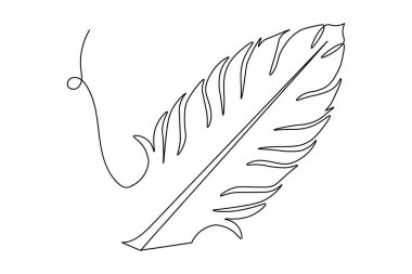 Kuş tüyü aralıksız bir çizgi çizimi ve resim vektörü simgesinin siyah beyazı